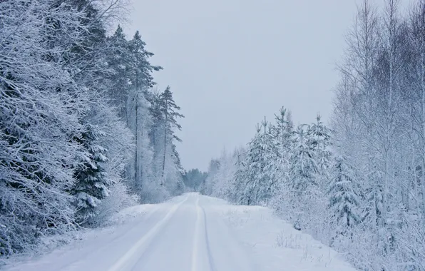 Картинка зима, дорога, деревья