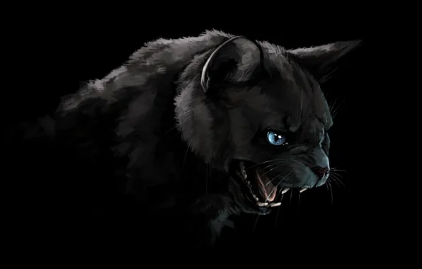 Кошка, кот, взгляд, морда, рисунок, портрет, пантера, арт