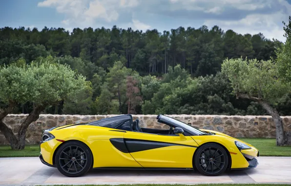 McLaren, Spider, 570S