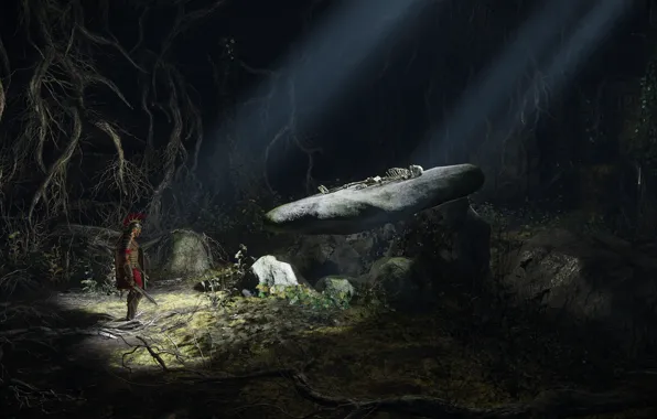 Камень, воин, скелет, Son of Rome, Ryse