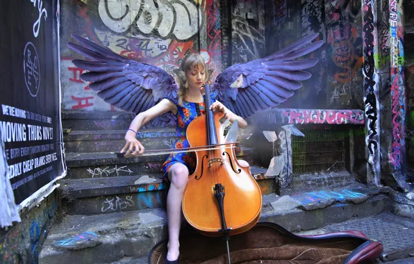 Девушка, крылья, виолончель
