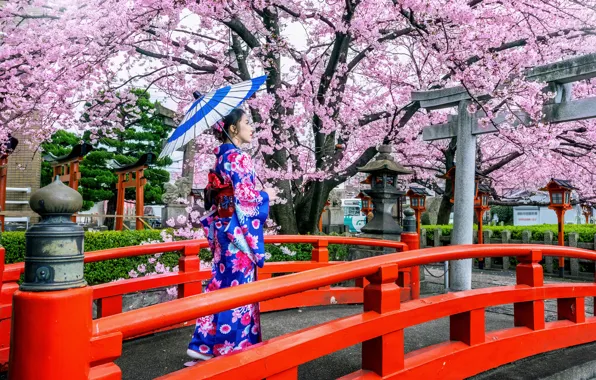 Картинка мост, вишня, японка, весна, зонт, Япония, сакура, Japan
