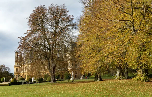 Фото, Англия, Природа, Осень, Деревья, Листья, Парк, Waddesdon Manor