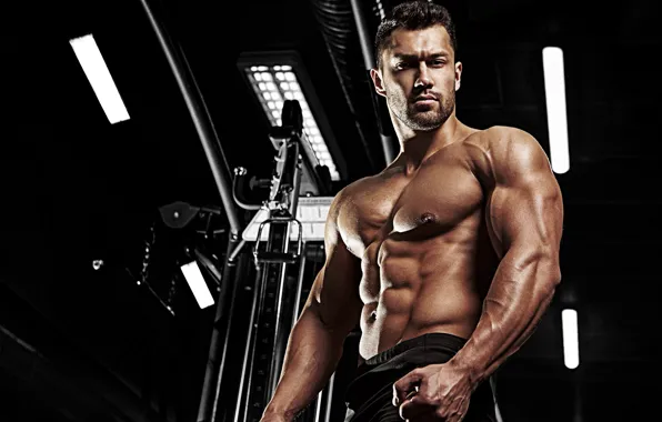 Поза, фигура, muscle, мышцы, muscles, пресс, атлет, тренажеры