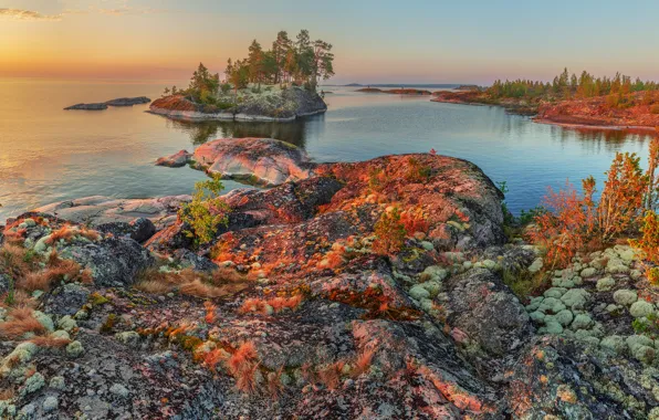 Лето, деревья, пейзаж, природа, озеро, камни, рассвет, утро