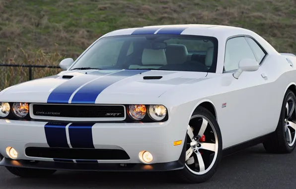 Srt, monster, challenger, speed, Dodgle