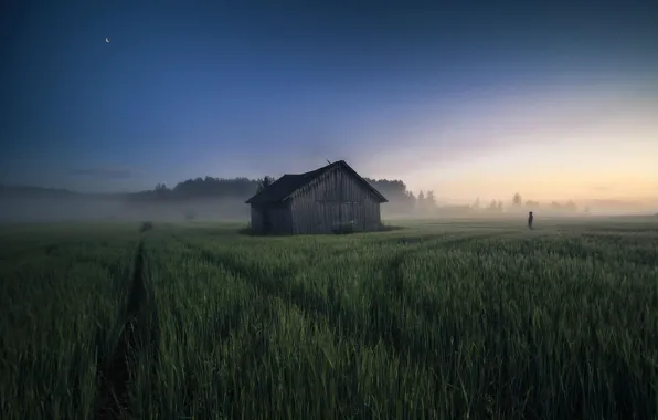 Картинка поле, туман, человек, утро, сарай