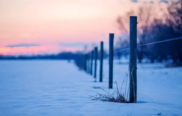 Картинка снег, природа, фон, голубой, widescreen, обои, забор, ограда