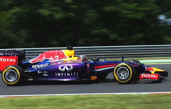 Formula 1, Vettel, Sebastian, RB10, Ifiniti Red Bull Racing