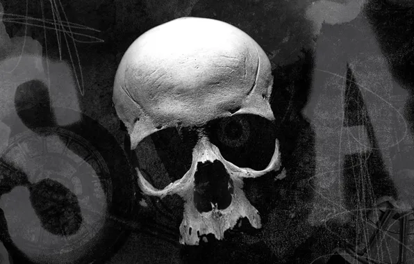 Wallpaper, skull, logo, dead, California, rims, death, assassin