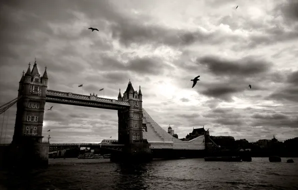 Картинка небо, облака, птицы, мост, город, река, черно-белый, лондон