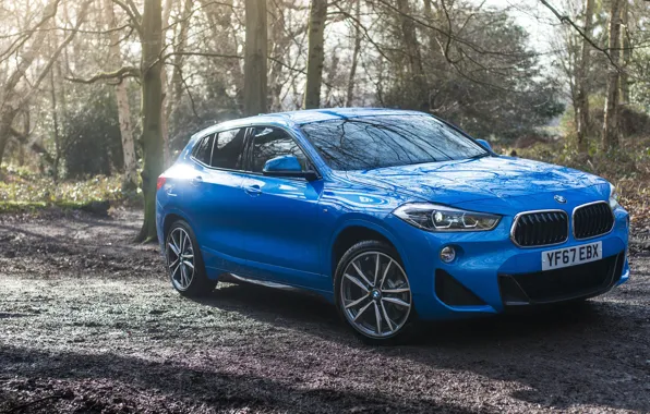 2018, кроссовер, M Sport, BMW X2, xDrive20d