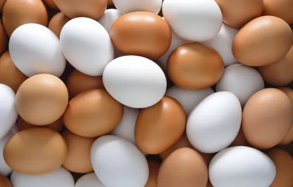 Картинка colors, eggs, chicken