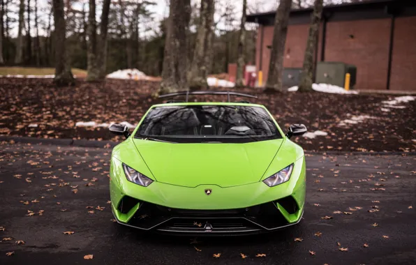 Картинка Lamborghini, Green, Front, VAG, Performante, Huracan