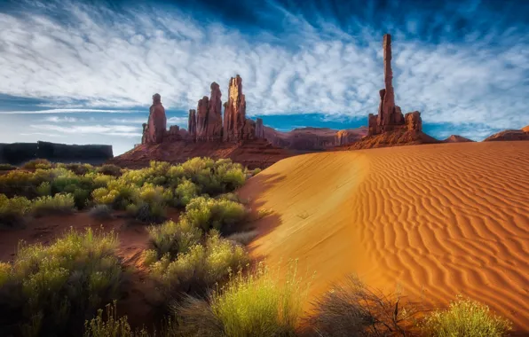 Картинка песок, небо, облака, природа, скалы, пустыня, США, кустарники