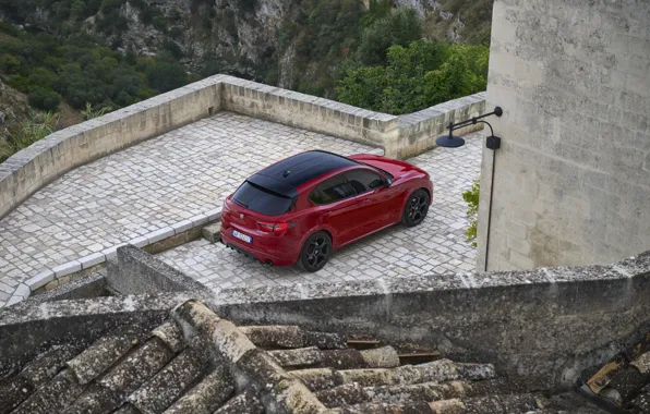 Картинка Alfa Romeo, Italiano, Stelvio, Tributo, 2023, Stelvio Tributo Italiano