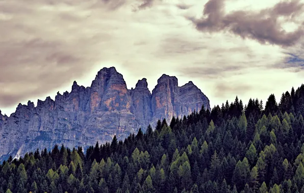 Лес, горы, природа