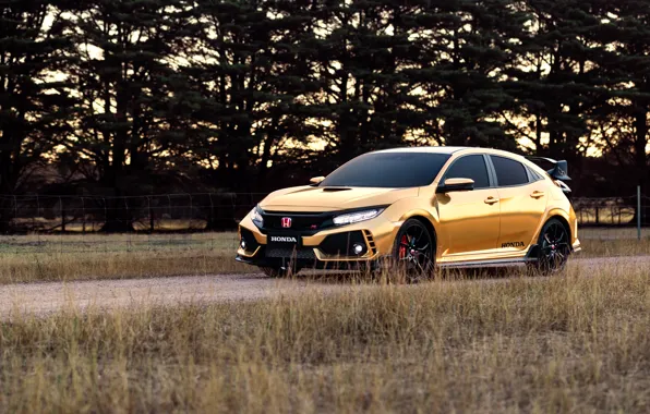 Картинка Honda, Civic, Type R, 2019, 50 Years in Australia