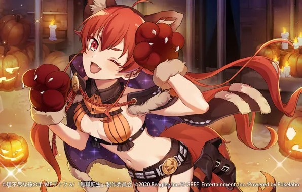 Кошка, девушка, костюм, тыквы, Хэллоуин, Mushoku Tensei: Isekai Ittara Honki Dasu, Eris Boreas Greyrat