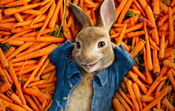 Картинка счастье, мультфильм, кролик, лежит, овощи, постер, морковь, куча