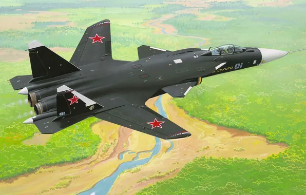 Рисунок, истребитель, Су-47, Беркут, C-37, Firkin, крыло обратной стреловидности