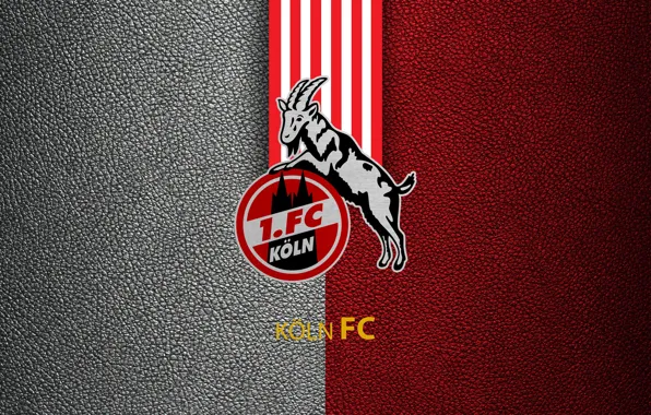 Wallpaper, sport, logo, football, Koln, Bundesliga