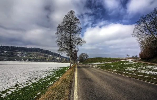 Дорога, деревья, пейзаж
