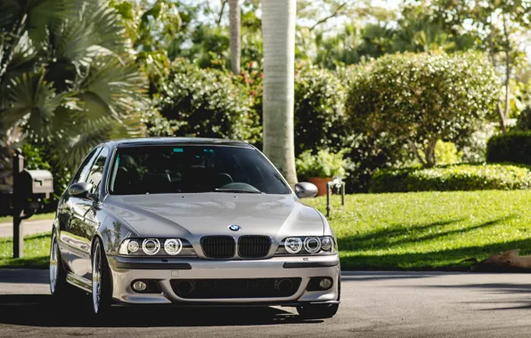 Картинка BMW, Green, Front, E39, Silver