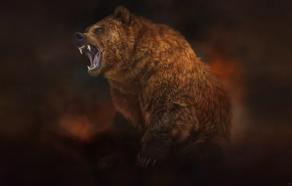 Стиль, Медведь, Зверь, Арт, Art, Бурый, Style, Beast
