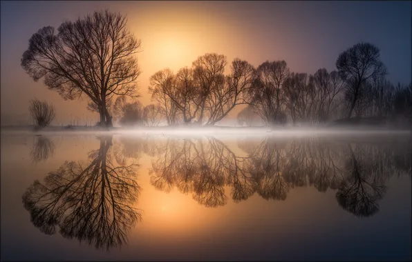 Картинка деревья, отражение, водоем