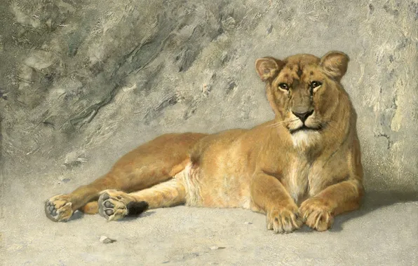 Картинка кошка, животное, картина, Ян ван Эссен, Отдыхающий Лев