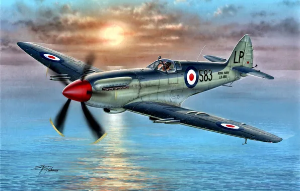 Supermarine Seafire, Royal Navy, Палубный истребитель, Seafire Mk.45, Двигатель Rolls-Royce Griffon 60
