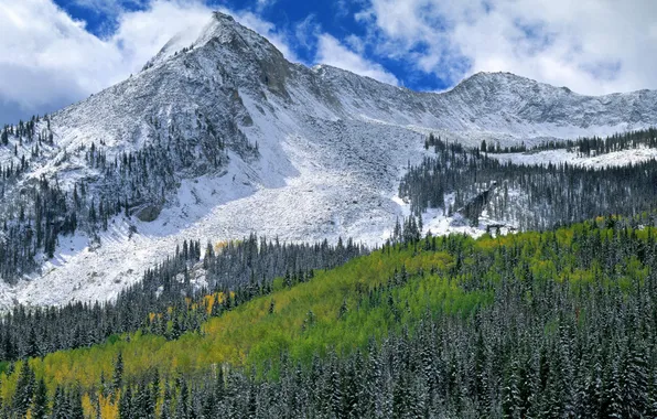 Картинка лес, снег, пейзаж, горы, природа, скалы, высота, альпы
