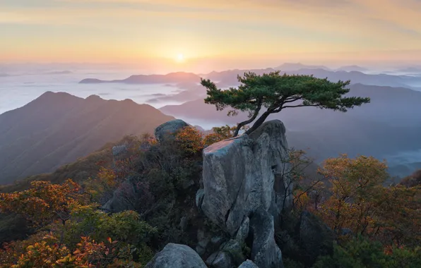 Облака, пейзаж, горы, природа, дерево, рассвет, утро, Корея