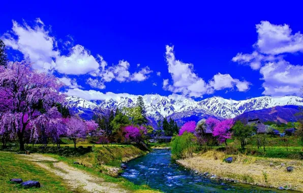 Картинка trees, nature, mountains, spring