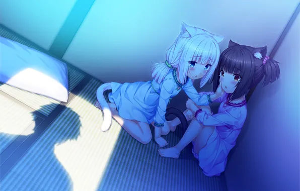 Ночь, Дети, Свет, Комната, Девочки, Nekopara