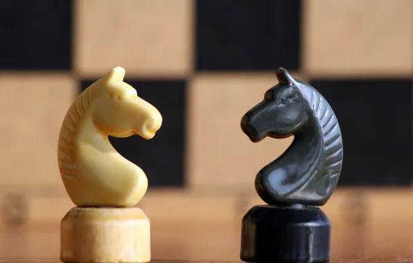 Картинка конь, белое, чёрное, шахматы, фигуры