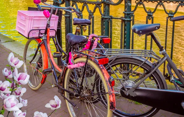 Картинка велосипед, река, весна, Амстердам, bicycle, цветение, bike, blossom