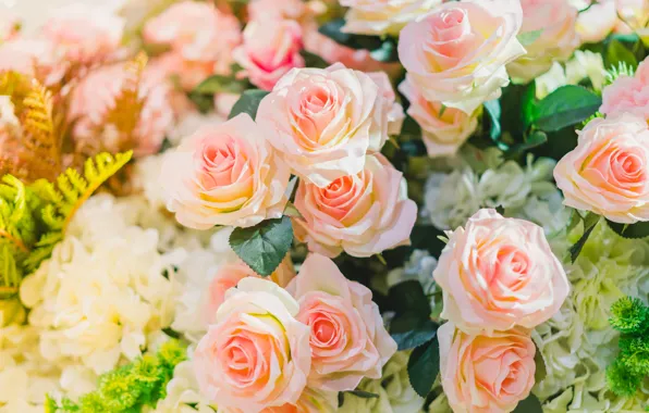 Зелень, листья, розы, flowers, roses, дневной свет