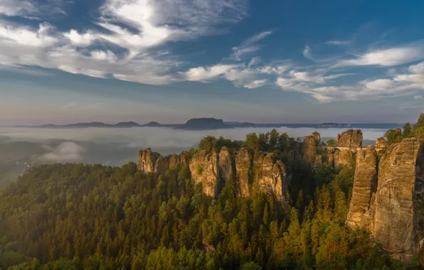 Лес, небо, пейзаж, горы, природа, туман, синева, скалы