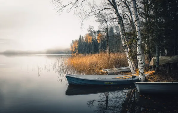 Картинка туман, озеро, лодки