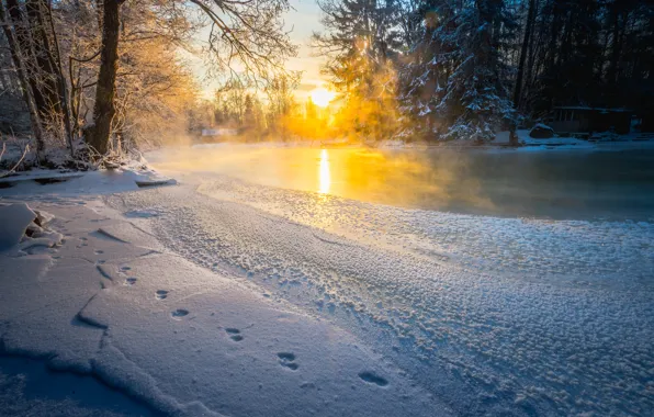 Картинка зима, туман, река, утро