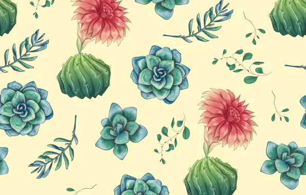 Картинка листья, цветы, фон, текстура, кактусы