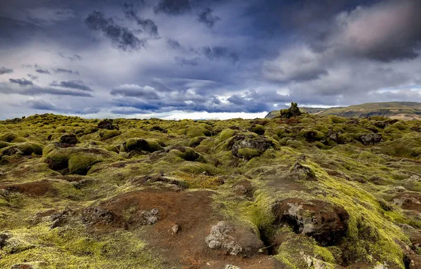 Картинка природа, камни, мох, Исландия, Mossy Lava Fields