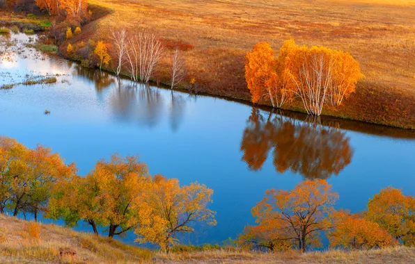 Поле, осень, деревья, природа, озеро, отражение, река, синева