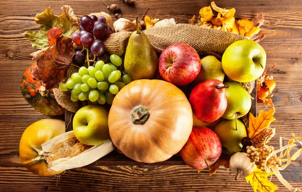 Картинка осень, яблоки, урожай, виноград, тыквы, фрукты, овощи, груши