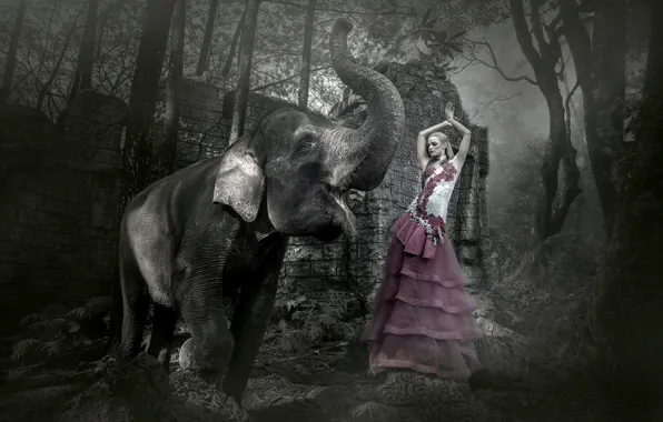 Картинка девушка, фон, слон