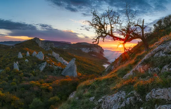Картинка закат, природа, Крым, Константин Воронов, храм Солнца