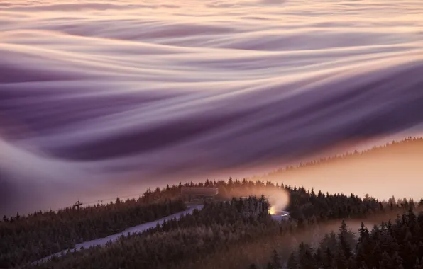 Картинка лес, облака, свет, деревья, туман