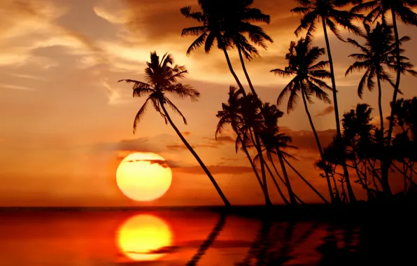 Картинка море, пляж, солнце, закат, тропики, пальмы, beach, sea